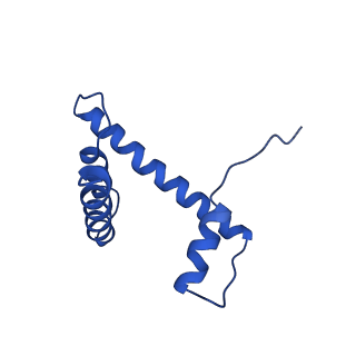 30456_7crq_D_v1-2
NSD3 bearing E1181K/T1232A dual mutation in complex with 187-bp NCP (2:1 binding mode)