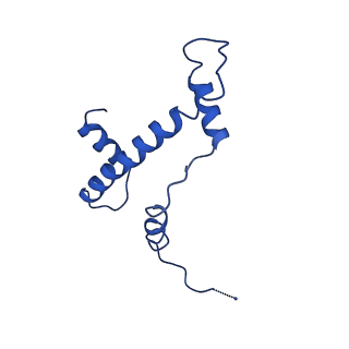 30456_7crq_E_v1-2
NSD3 bearing E1181K/T1232A dual mutation in complex with 187-bp NCP (2:1 binding mode)