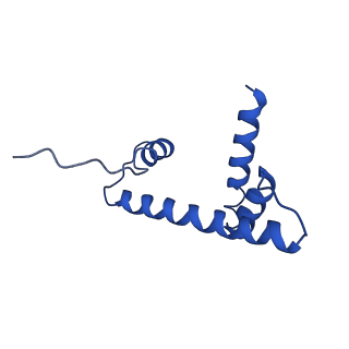 30456_7crq_H_v1-2
NSD3 bearing E1181K/T1232A dual mutation in complex with 187-bp NCP (2:1 binding mode)