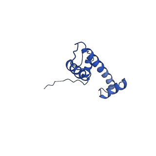 30456_7crq_M_v1-2
NSD3 bearing E1181K/T1232A dual mutation in complex with 187-bp NCP (2:1 binding mode)