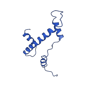 30457_7crr_E_v1-1
Native NSD3 bound to 187-bp nucleosome
