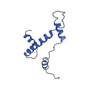 30457_7crr_E_v2-1
Native NSD3 bound to 187-bp nucleosome
