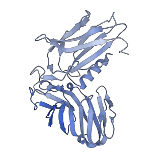 30458_7crw_A_v1-3
Cryo-EM structure of rNLRP1-rDPP9 complex