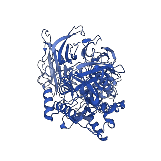 30458_7crw_C_v1-2
Cryo-EM structure of rNLRP1-rDPP9 complex