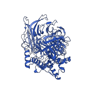 30458_7crw_C_v1-3
Cryo-EM structure of rNLRP1-rDPP9 complex