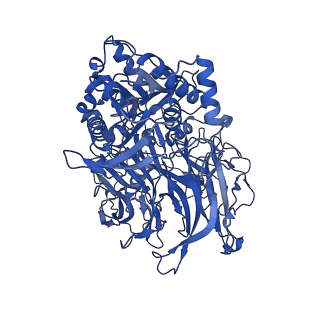 30458_7crw_D_v1-2
Cryo-EM structure of rNLRP1-rDPP9 complex
