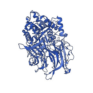 30458_7crw_D_v1-3
Cryo-EM structure of rNLRP1-rDPP9 complex