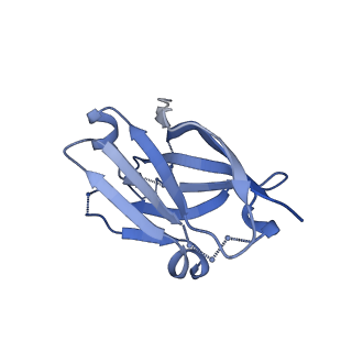 7568_6crq_I_v1-3
Glutaraldehyde-treated BG505 SOSIP.664 Env in complex with PGV04 Fab
