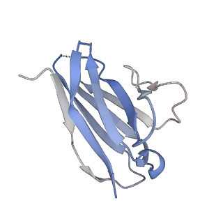 7568_6crq_L_v1-3
Glutaraldehyde-treated BG505 SOSIP.664 Env in complex with PGV04 Fab