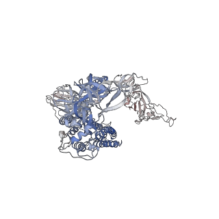 7574_6crw_A_v1-4
SARS Spike Glycoprotein, Stabilized variant, single upwards S1 CTD conformation