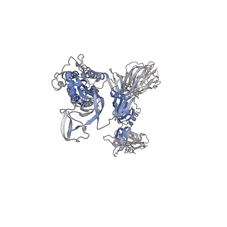 7574_6crw_B_v1-4
SARS Spike Glycoprotein, Stabilized variant, single upwards S1 CTD conformation