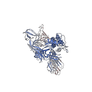 7574_6crw_C_v1-4
SARS Spike Glycoprotein, Stabilized variant, single upwards S1 CTD conformation