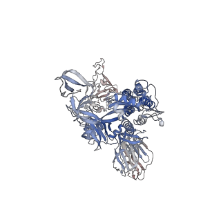 7574_6crw_C_v2-0
SARS Spike Glycoprotein, Stabilized variant, single upwards S1 CTD conformation