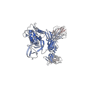 7575_6crx_B_v1-4
SARS Spike Glycoprotein, Stabilized variant, two S1 CTDs in the upwards conformation