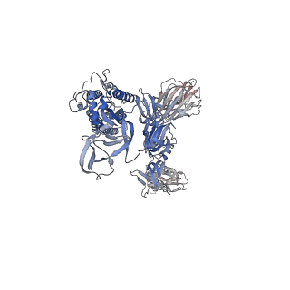 7575_6crx_B_v2-0
SARS Spike Glycoprotein, Stabilized variant, two S1 CTDs in the upwards conformation