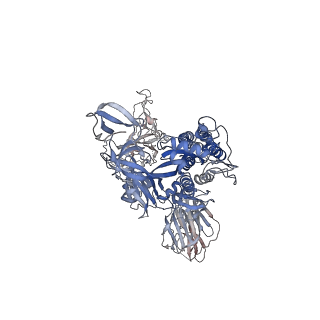 7575_6crx_C_v1-4
SARS Spike Glycoprotein, Stabilized variant, two S1 CTDs in the upwards conformation
