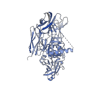 26960_8cs9_X_v1-1
Composite reconstruction of Class 1 of the erythrocyte ankyrin-1 complex