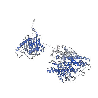 26960_8cs9_g_v1-1
Composite reconstruction of Class 1 of the erythrocyte ankyrin-1 complex