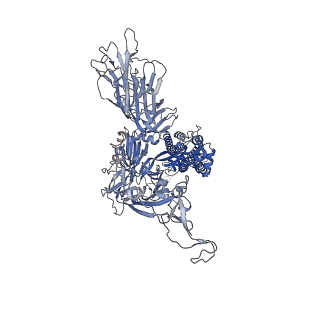 26964_8csj_C_v1-0
Cryo-EM structure of NTD-directed non-neutralizing antibody 4-33 in complex with prefusion SARS-CoV-2 spike glycoprotein