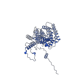 26966_8csp_4_v1-2
Human mitochondrial small subunit assembly intermediate (State A)