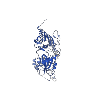 26966_8csp_9_v1-2
Human mitochondrial small subunit assembly intermediate (State A)