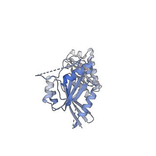 26966_8csp_a_v1-2
Human mitochondrial small subunit assembly intermediate (State A)