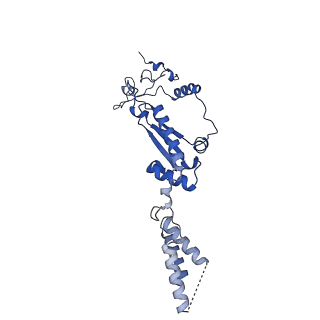 26967_8csq_1_v1-2
Human mitochondrial small subunit assembly intermediate (State B)