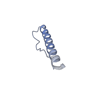 26967_8csq_3_v1-2
Human mitochondrial small subunit assembly intermediate (State B)