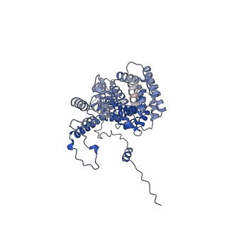 26967_8csq_4_v1-2
Human mitochondrial small subunit assembly intermediate (State B)