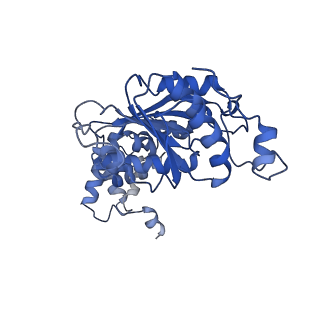 26967_8csq_5_v1-2
Human mitochondrial small subunit assembly intermediate (State B)