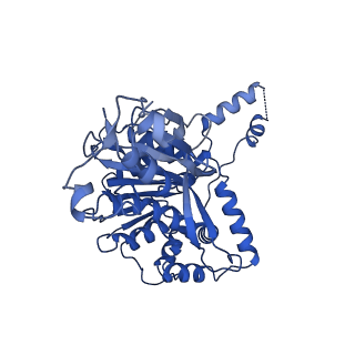 26967_8csq_7_v1-2
Human mitochondrial small subunit assembly intermediate (State B)