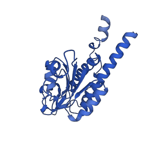 26967_8csq_B_v1-2
Human mitochondrial small subunit assembly intermediate (State B)