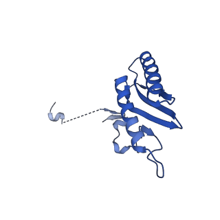 26967_8csq_C_v1-2
Human mitochondrial small subunit assembly intermediate (State B)