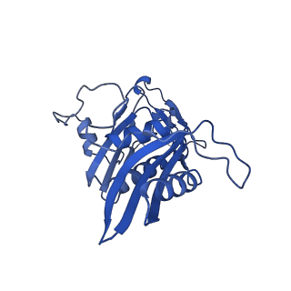 26967_8csq_D_v1-2
Human mitochondrial small subunit assembly intermediate (State B)
