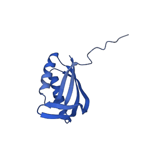 26967_8csq_E_v1-2
Human mitochondrial small subunit assembly intermediate (State B)