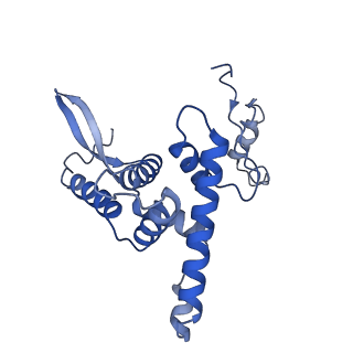 26967_8csq_F_v1-2
Human mitochondrial small subunit assembly intermediate (State B)