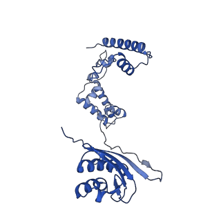 26967_8csq_G_v1-2
Human mitochondrial small subunit assembly intermediate (State B)