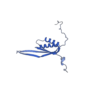 26967_8csq_H_v1-2
Human mitochondrial small subunit assembly intermediate (State B)