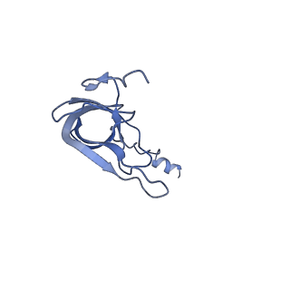 26967_8csq_J_v1-2
Human mitochondrial small subunit assembly intermediate (State B)