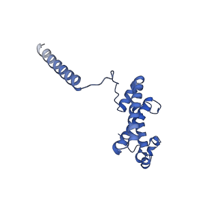 26967_8csq_L_v1-2
Human mitochondrial small subunit assembly intermediate (State B)