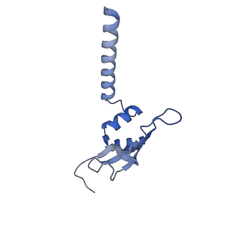 26967_8csq_M_v1-2
Human mitochondrial small subunit assembly intermediate (State B)