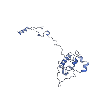 26967_8csq_O_v1-2
Human mitochondrial small subunit assembly intermediate (State B)