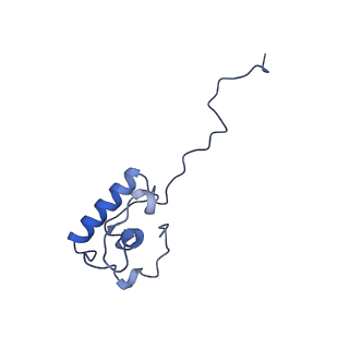 26967_8csq_P_v1-2
Human mitochondrial small subunit assembly intermediate (State B)