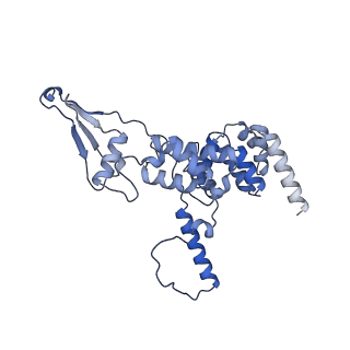 26967_8csq_R_v1-2
Human mitochondrial small subunit assembly intermediate (State B)