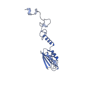 26967_8csq_T_v1-2
Human mitochondrial small subunit assembly intermediate (State B)