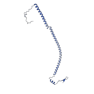 26967_8csq_U_v1-2
Human mitochondrial small subunit assembly intermediate (State B)