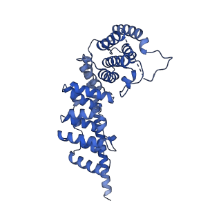 26967_8csq_V_v1-2
Human mitochondrial small subunit assembly intermediate (State B)