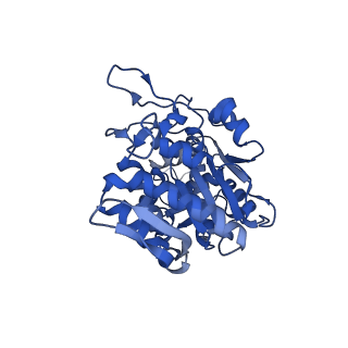26967_8csq_X_v1-2
Human mitochondrial small subunit assembly intermediate (State B)