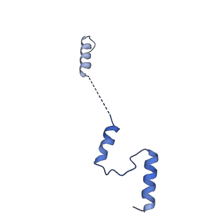 26967_8csq_Z_v1-2
Human mitochondrial small subunit assembly intermediate (State B)