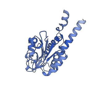 26968_8csr_B_v1-2
Human mitochondrial small subunit assembly intermediate (State C)